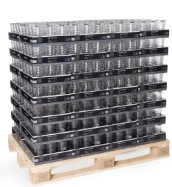 Trinkglas Favo | 350 ml | klar